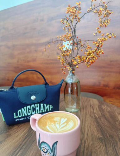 Longchamp Le Pliage University Mini大學單柄水餃包